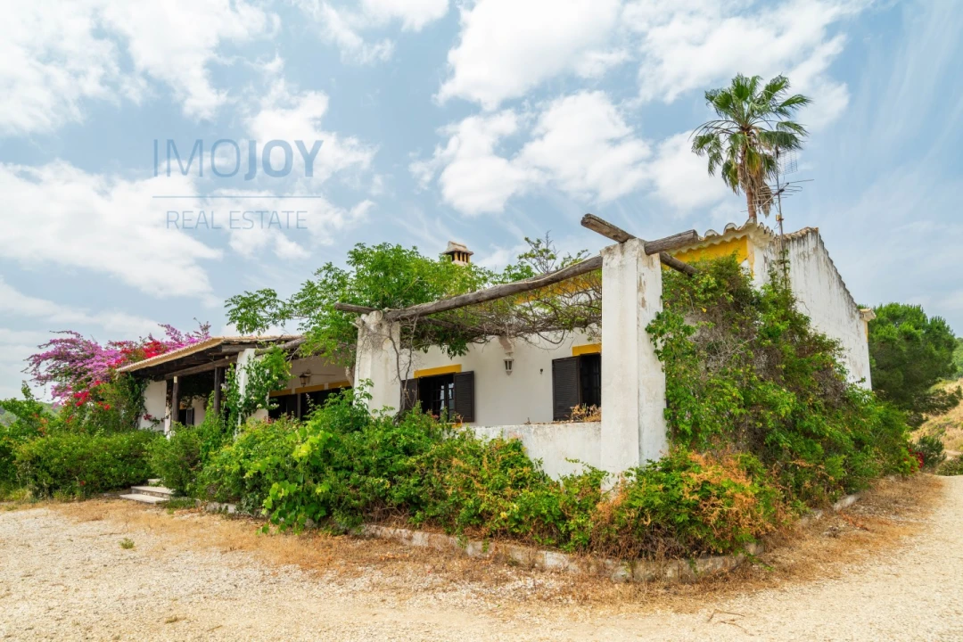 Quinta T17 para Venda em Silves Foto 43