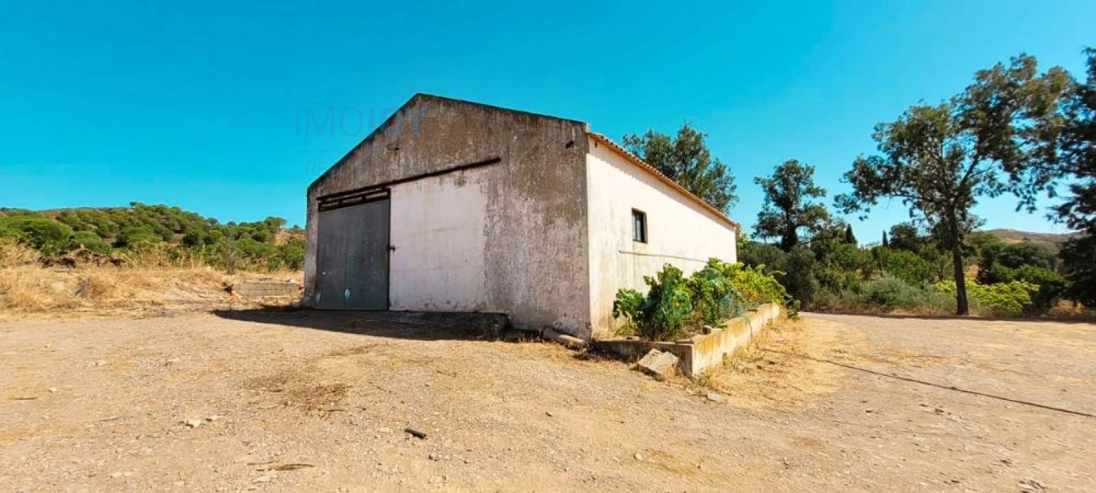 Quinta T17 para Venda em Silves Foto 46