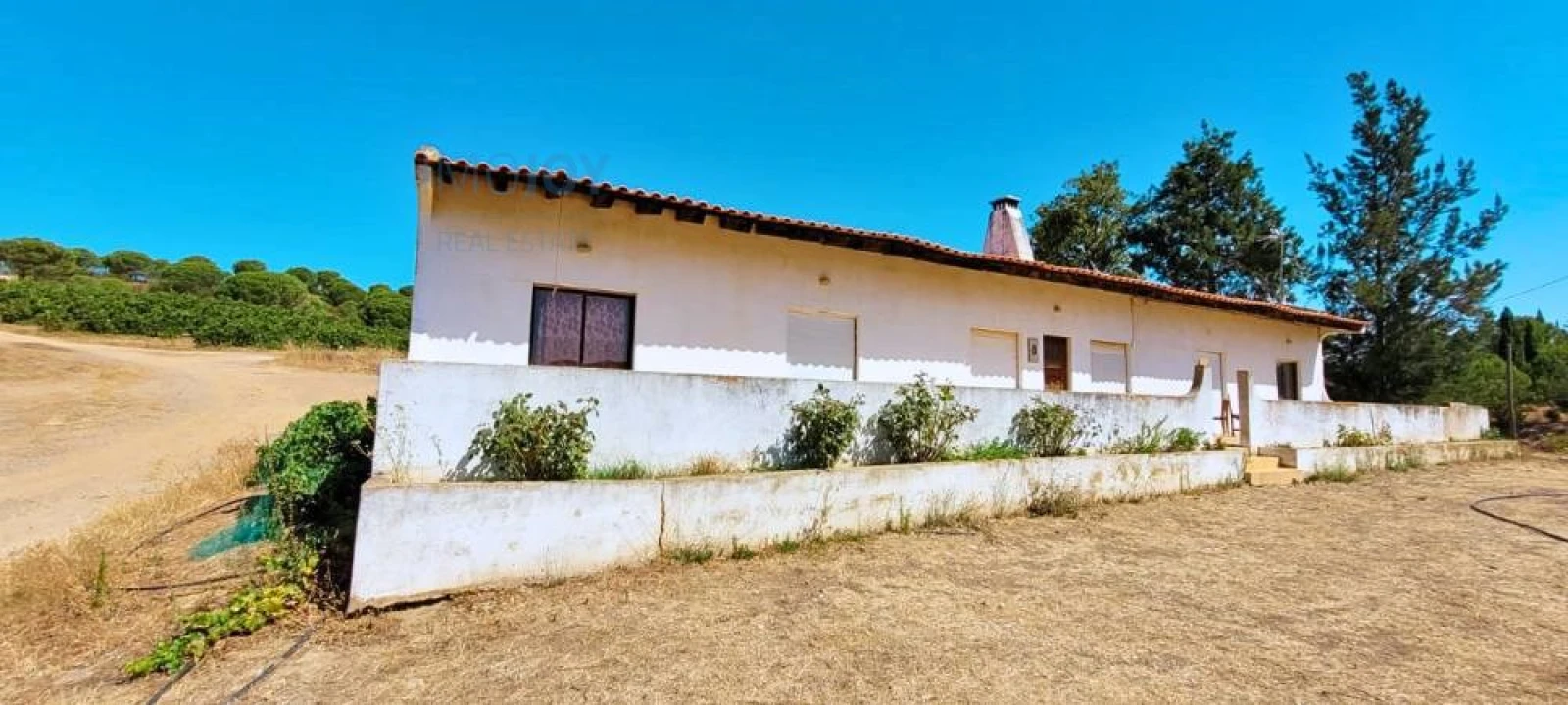 Quinta T17 para Venda em Silves Foto 48