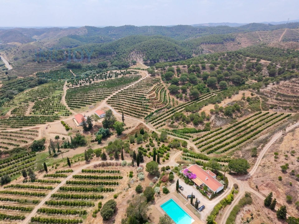 Quinta T17 para Venda em Silves Foto 60