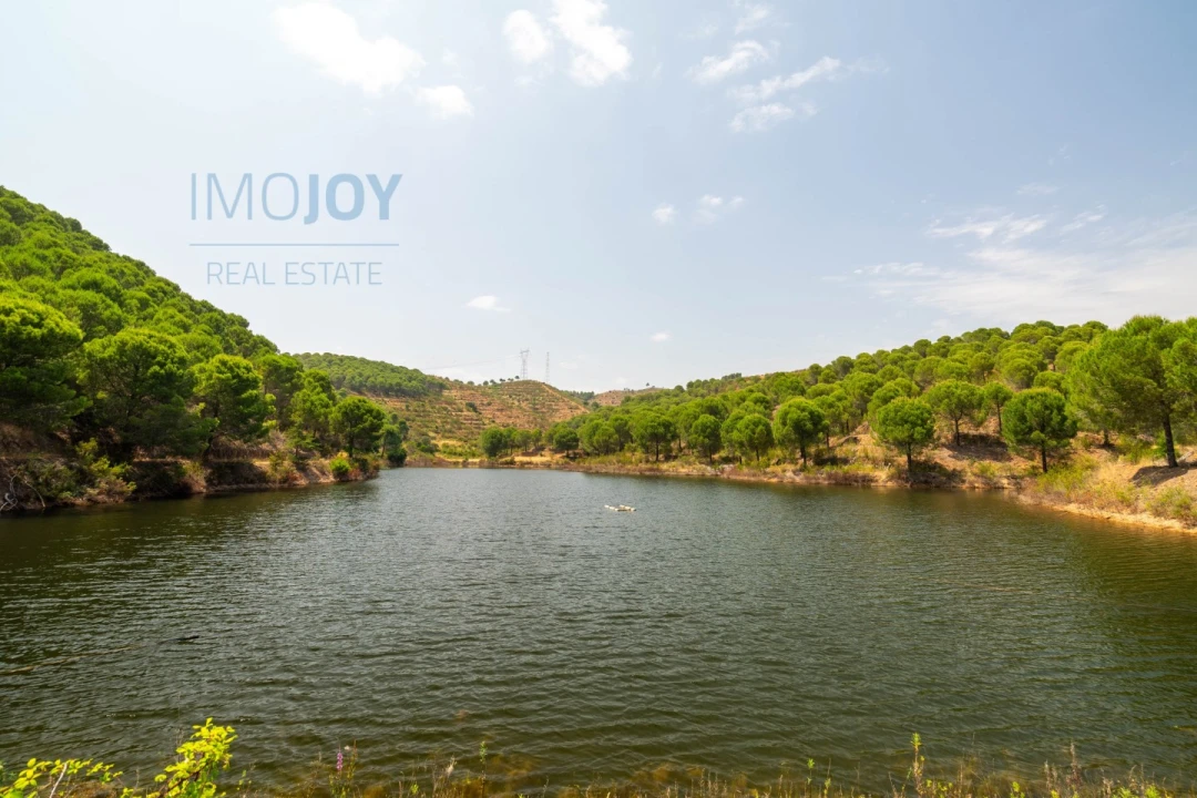 Quinta T17 para Venda em Silves Foto 64