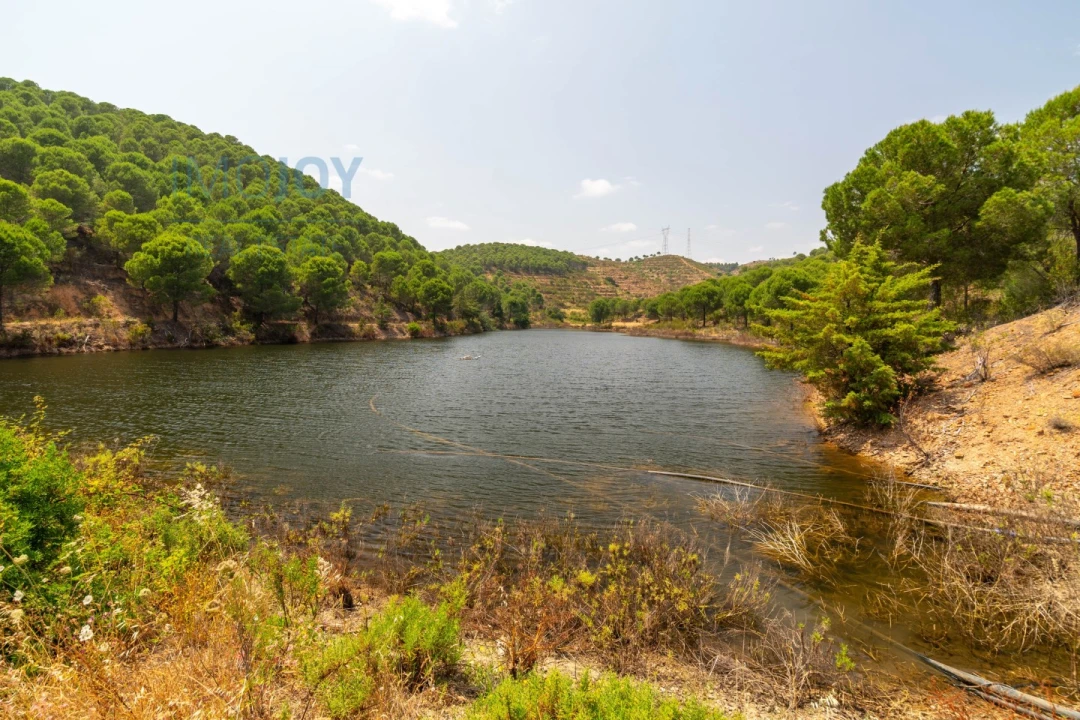 Quinta T17 para Venda em Silves Foto 65