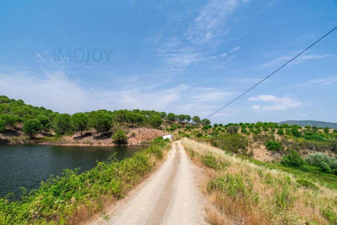 Quinta T17 para Venda em Silves Foto 66