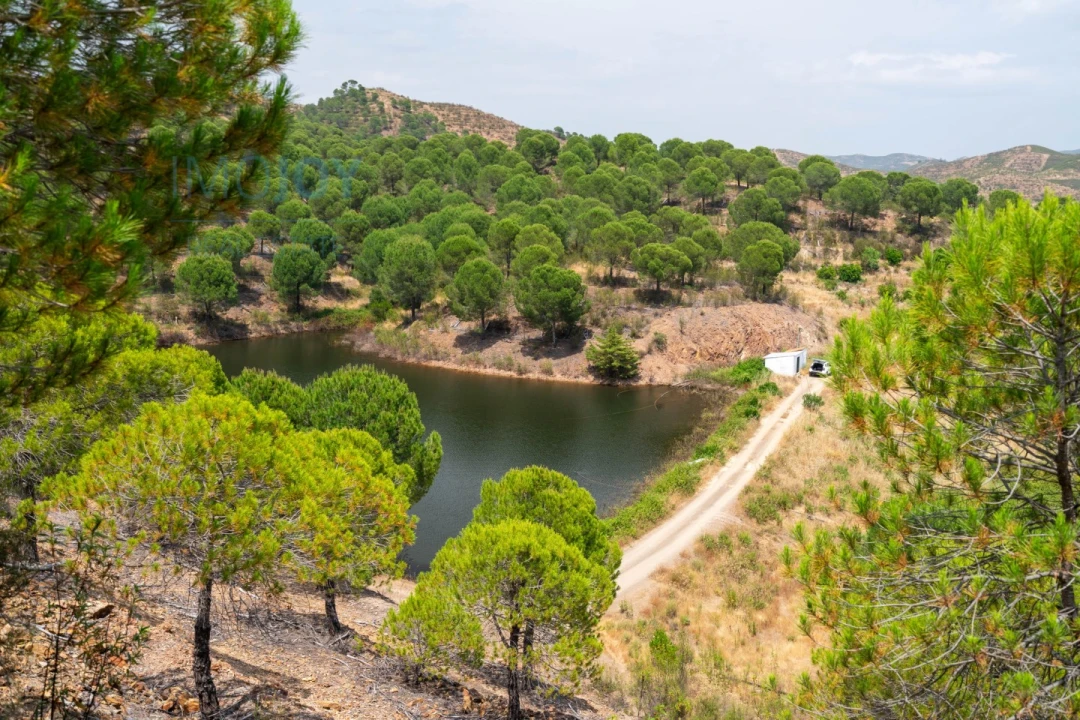 Quinta T17 para Venda em Silves Foto 68