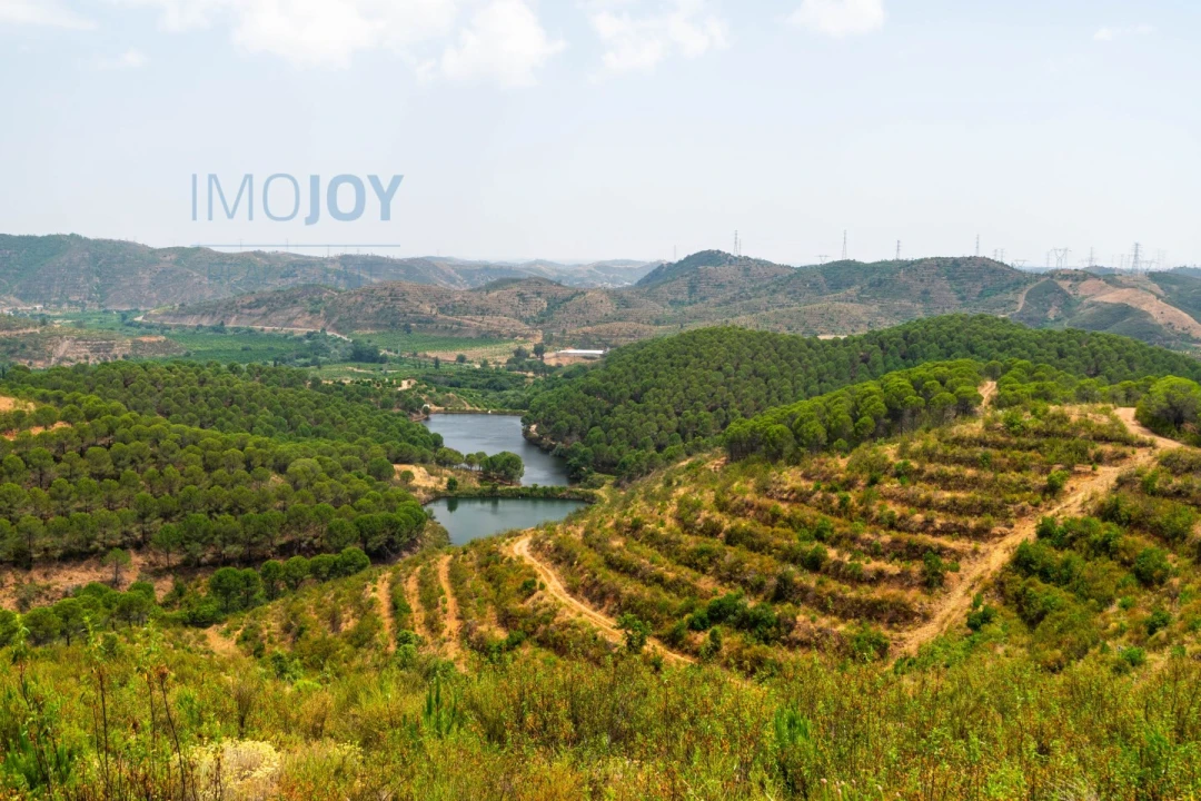 Quinta T17 para Venda em Silves Foto 69