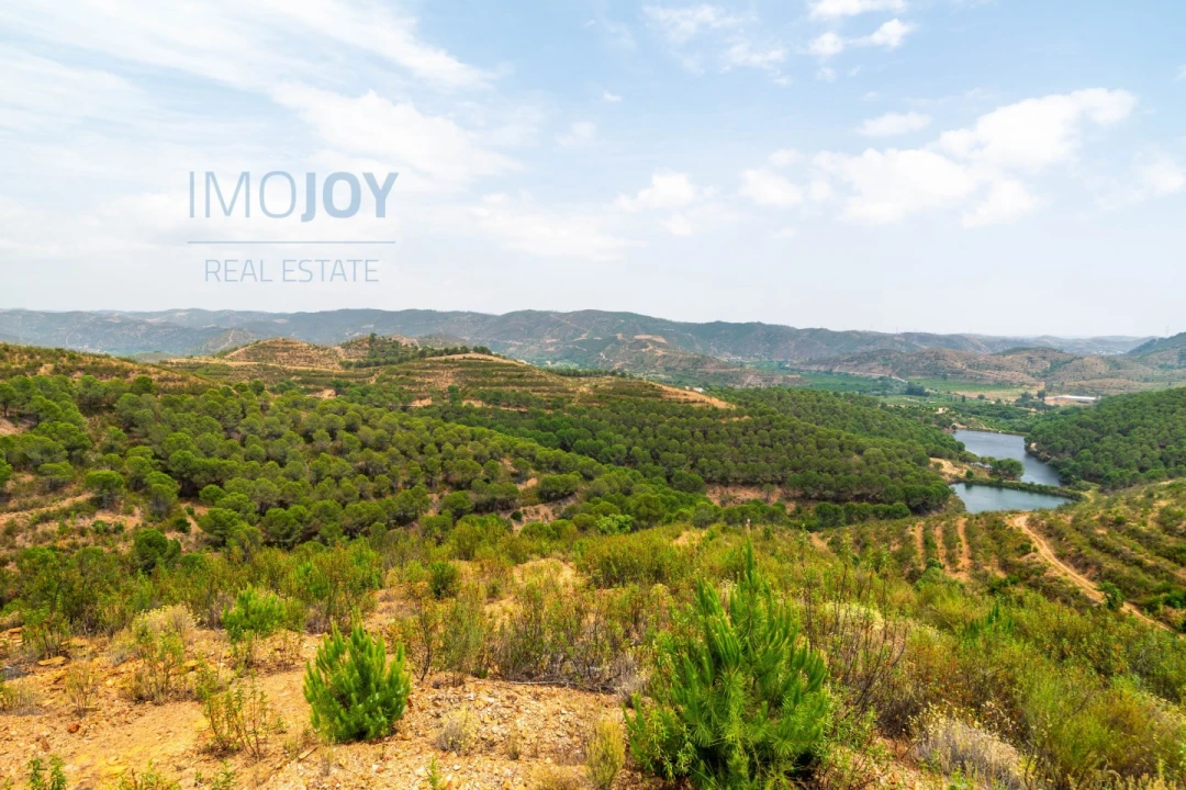 Quinta T17 para Venda em Silves Foto 70