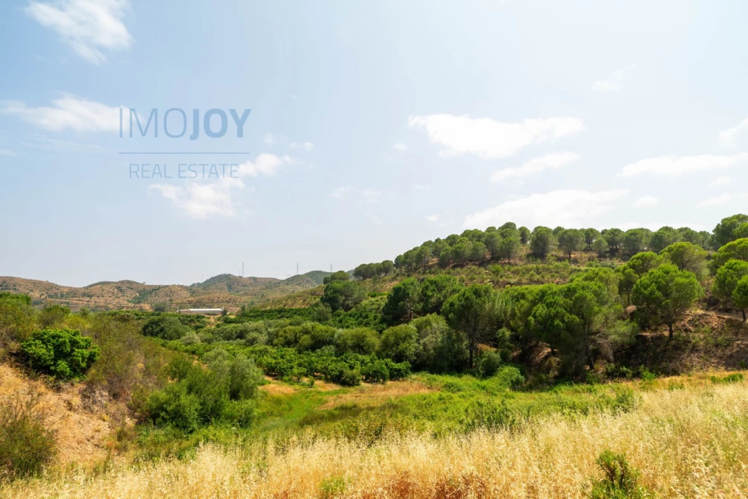 Quinta T17 para Venda em Silves Foto 73