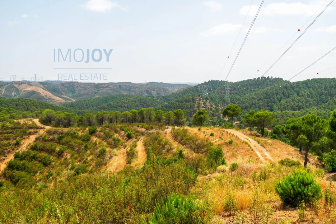 Quinta T17 para Venda em Silves Foto 74