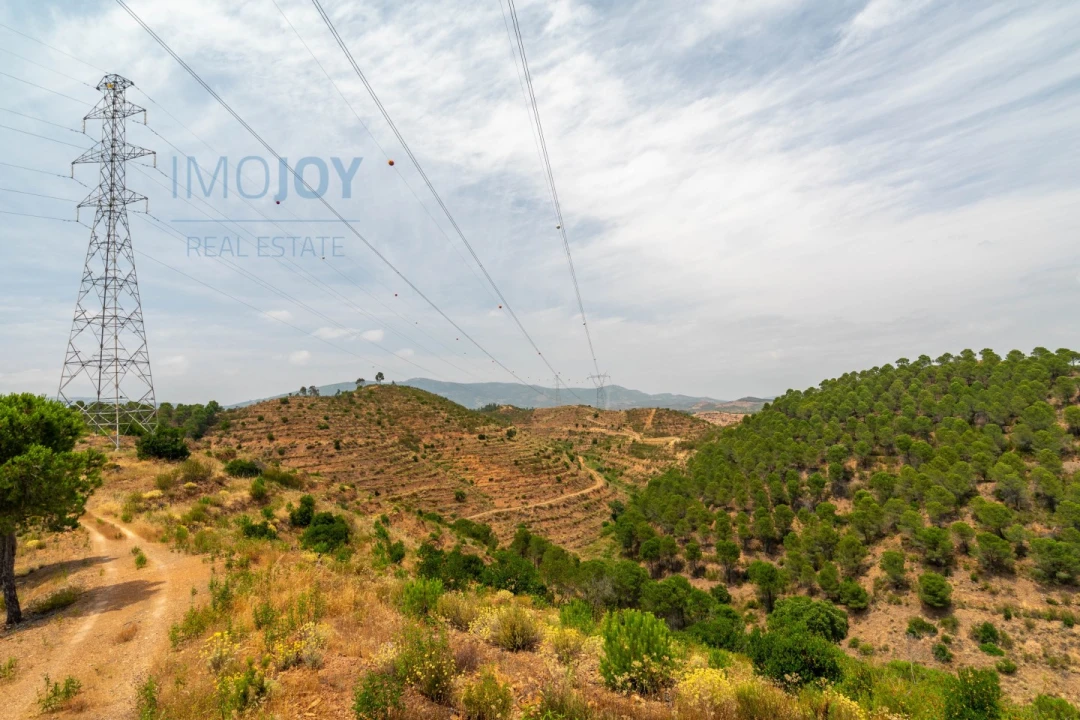 Quinta T17 para Venda em Silves Foto 80