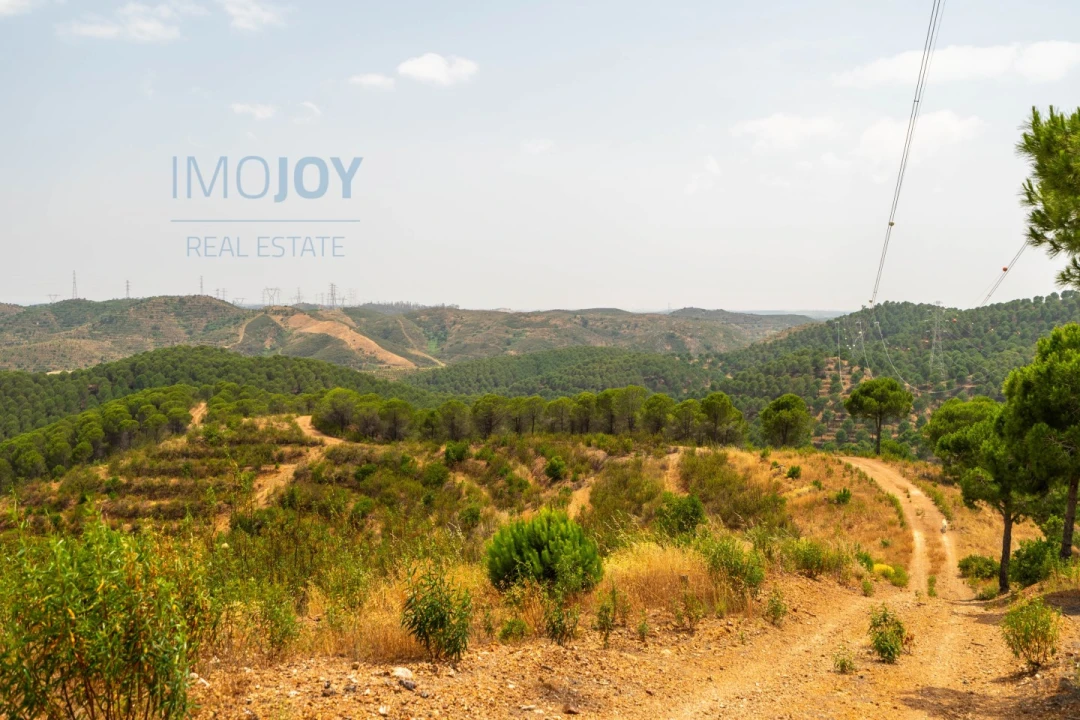 Quinta T17 para Venda em Silves Foto 81