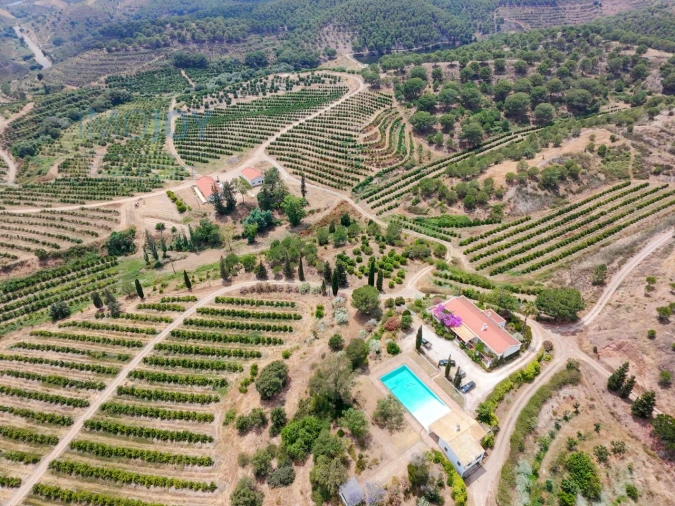 Quinta T17 para Venda em Silves Foto 2