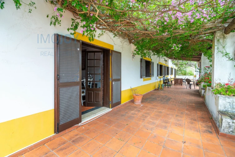 Quinta T17 para Venda em Silves Foto 36