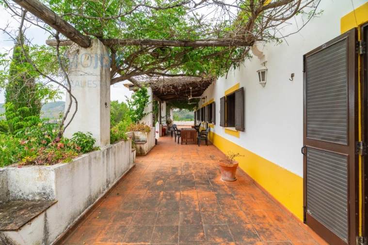 Quinta T17 para Venda em Silves Foto 37