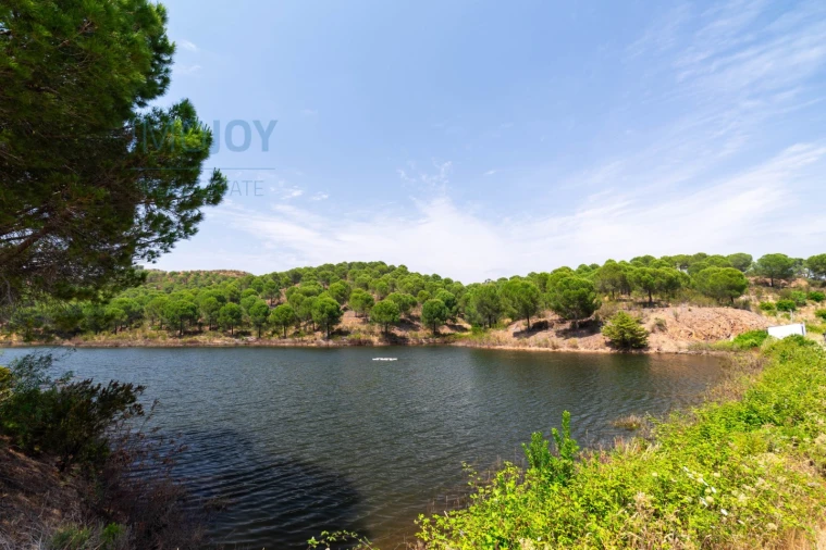 Quinta T17 para Venda em Silves Foto 63