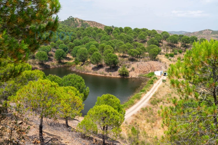 Quinta T17 para Venda em Silves Foto 68