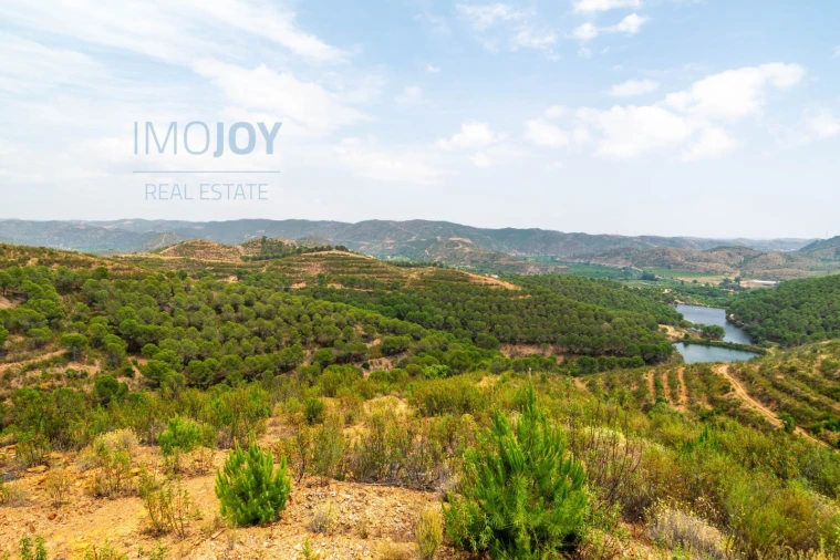 Quinta T17 para Venda em Silves Foto 70