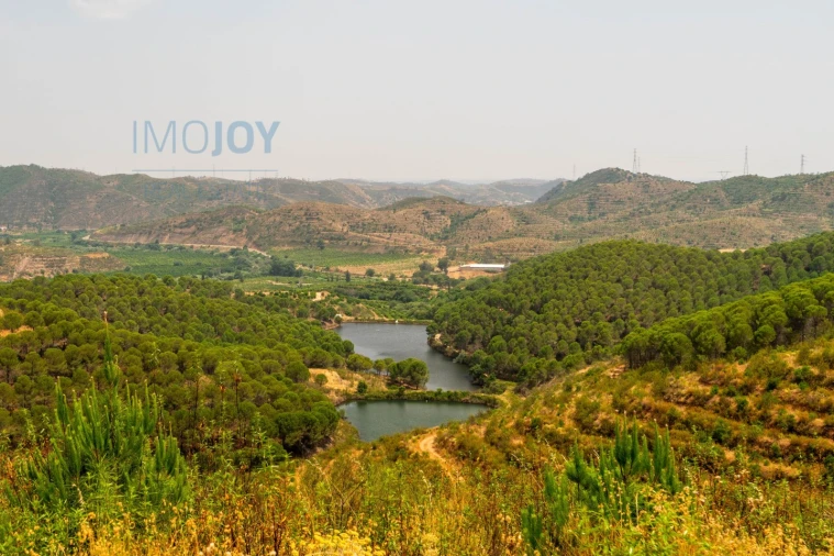 Quinta T17 para Venda em Silves Foto 72