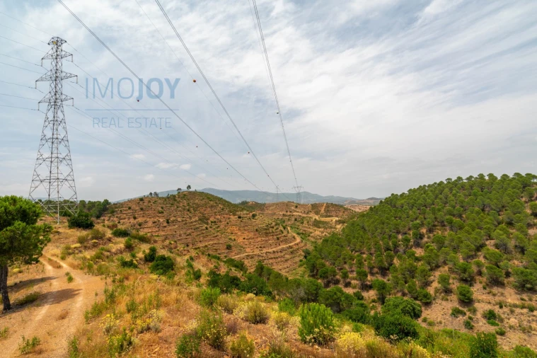 Quinta T17 para Venda em Silves Foto 80