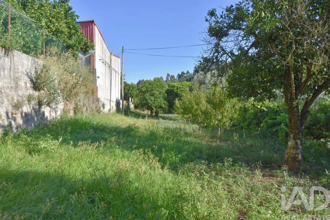 Moradia T3 para Venda em Semide e Rio Vide Foto 24