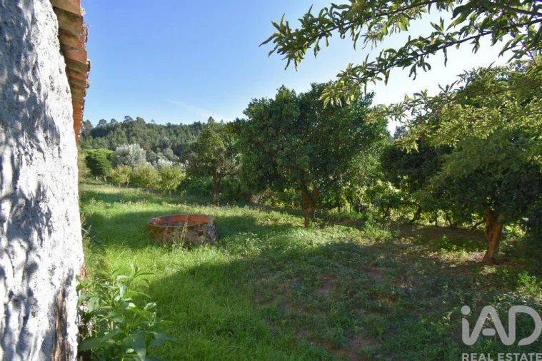 Moradia T3 para Venda em Semide e Rio Vide Foto 21