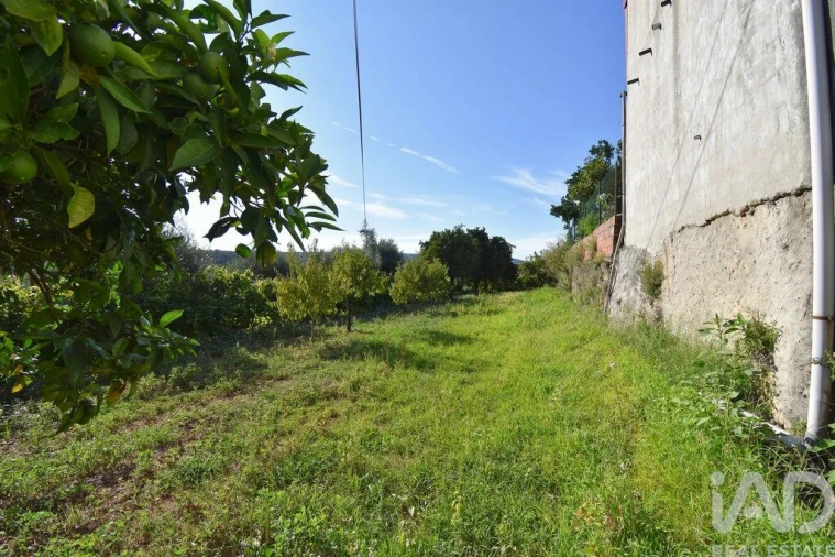 Moradia T3 para Venda em Semide e Rio Vide Foto 26