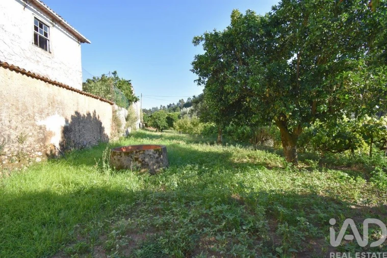 Moradia T3 para Venda em Semide e Rio Vide Foto 22