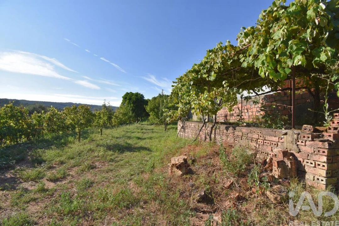 Moradia T3 para Venda em Semide e Rio Vide Foto 27