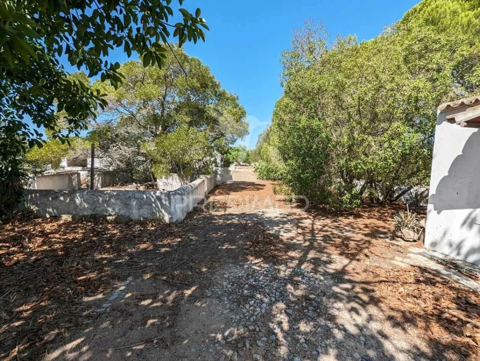 Terreno para Venda em Castro Marim Foto 6