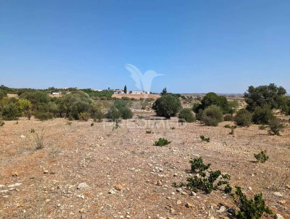 Terreno para Venda em Castro Marim Foto 20