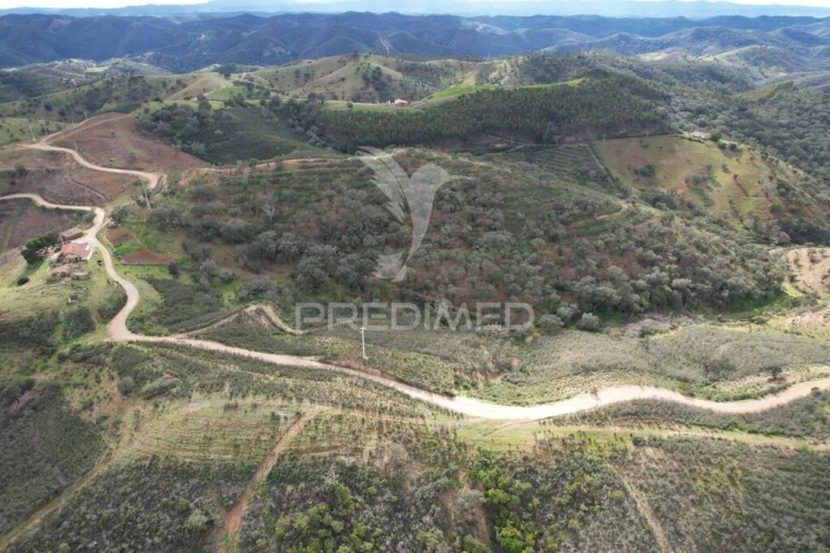 Moradia T5 para Venda em Santana da Serra Foto 8