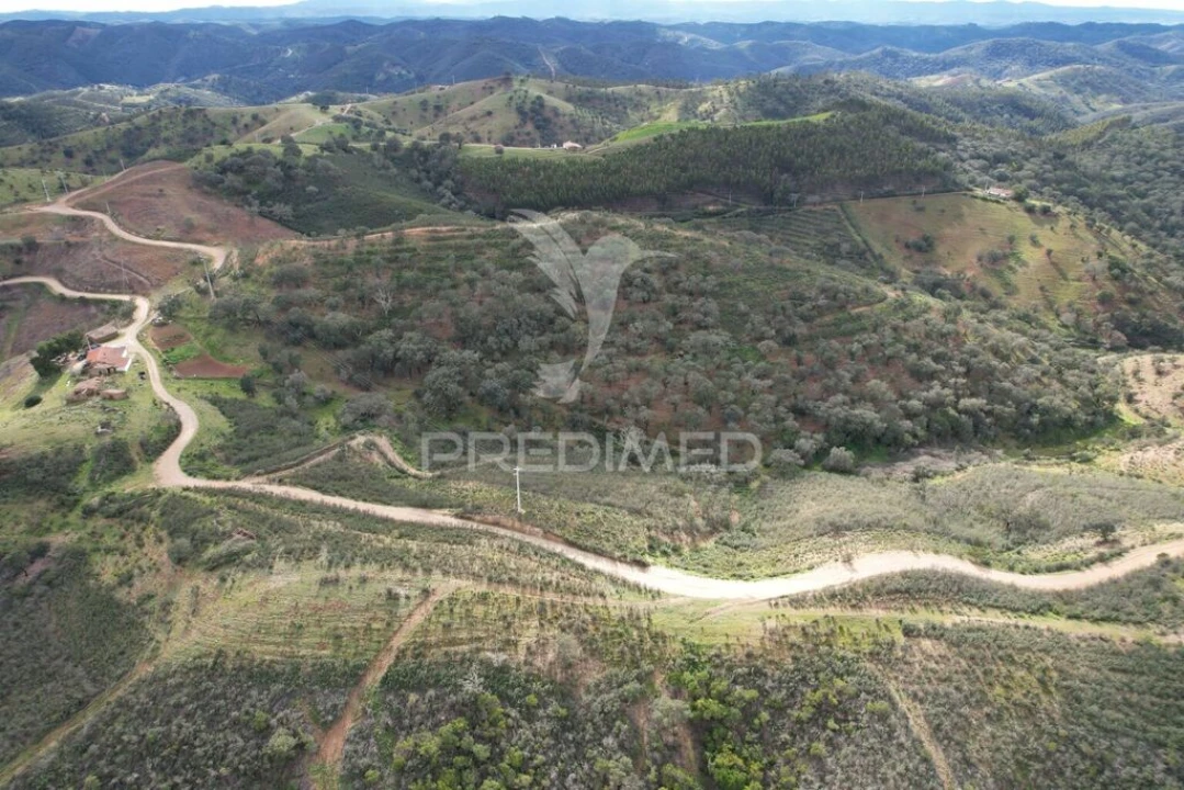 Moradia T5 para Venda em Santana da Serra Foto 8