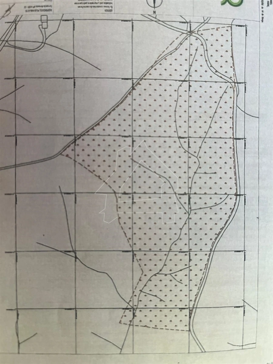 Terreno Agricola ou Rústico para Venda em Souto da Casa Foto 1