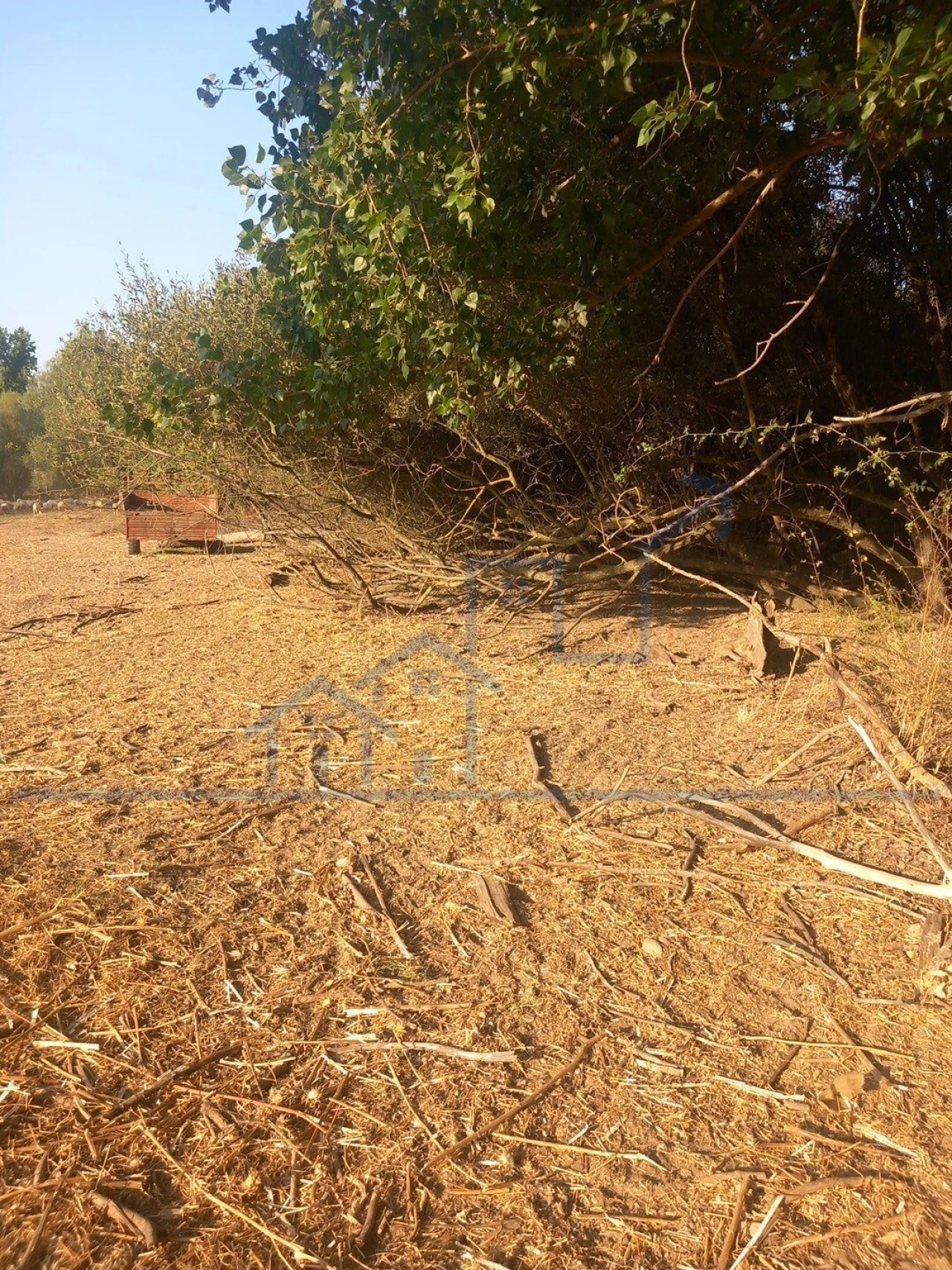 Quinta T0 para Venda em Cabeça Boa Foto 13