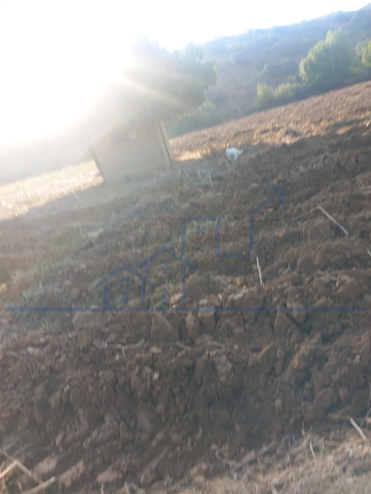 Quinta T0 para Venda em Cabeça Boa Foto 11