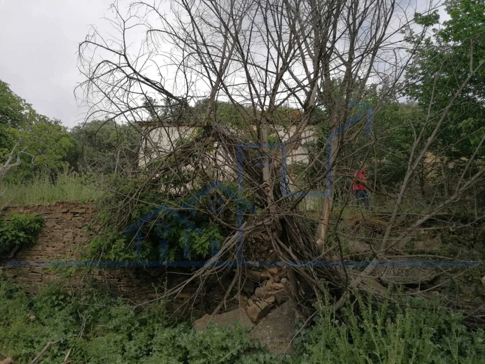 Quinta T0 para Venda em Cabeça Boa Foto 2