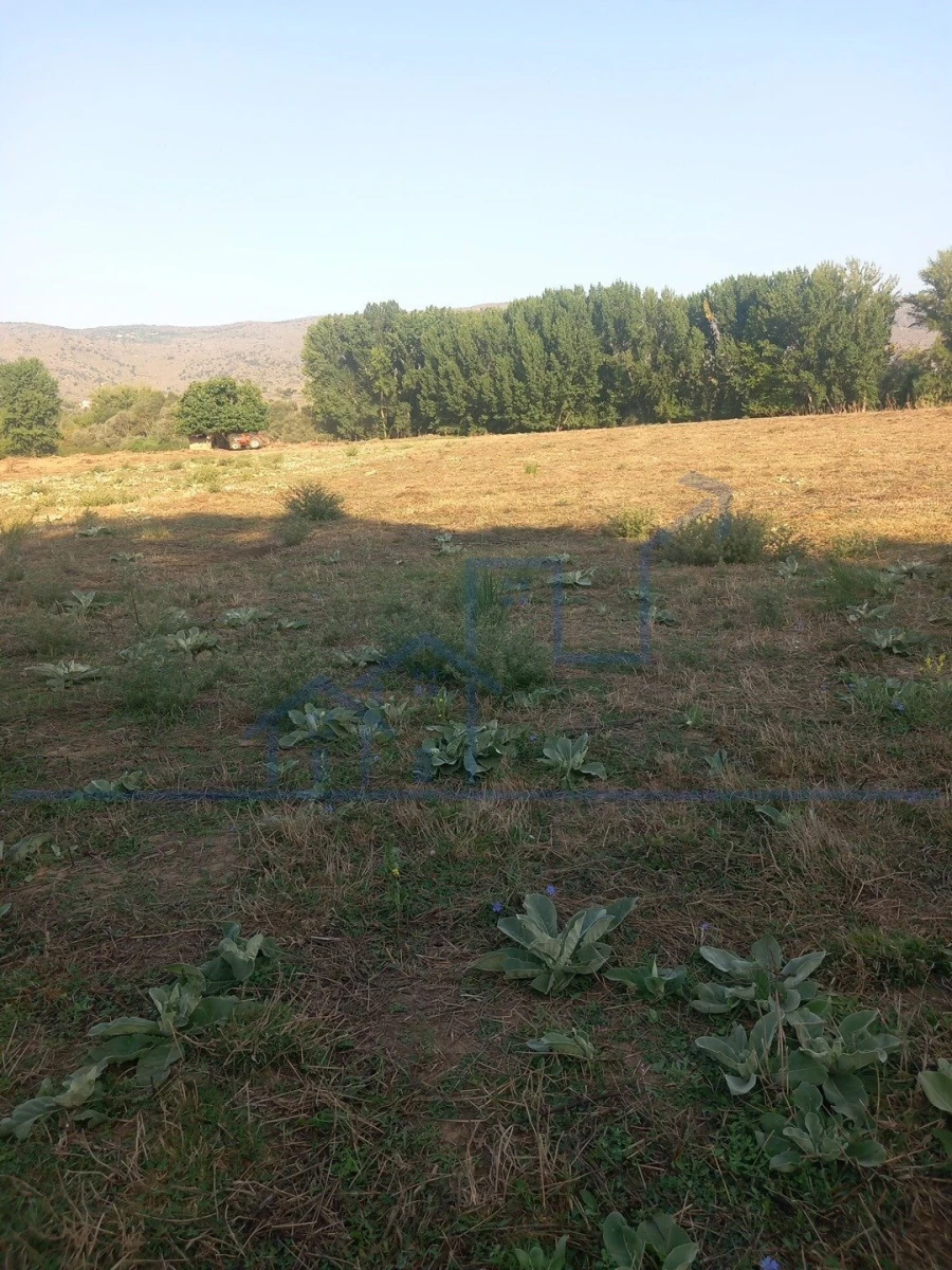 Quinta T0 para Venda em Cabeça Boa Foto 17