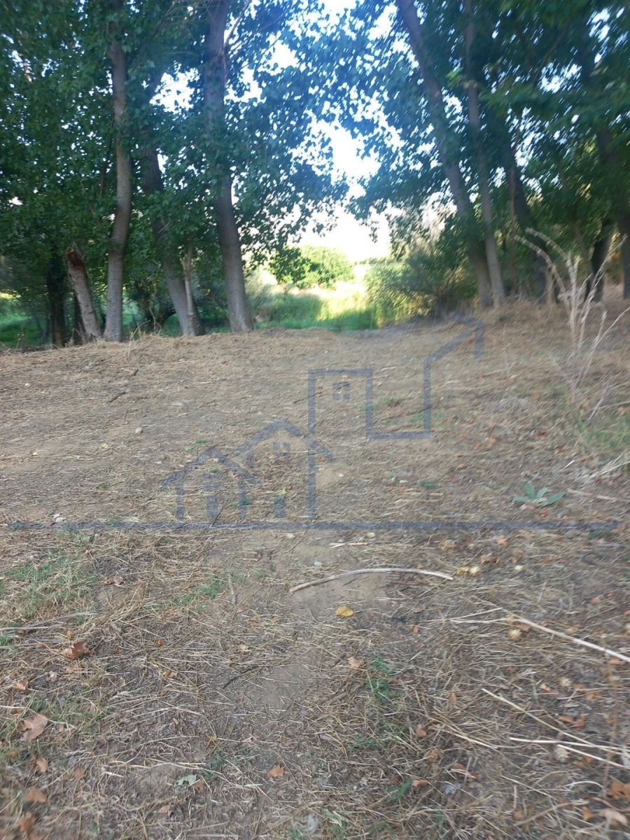 Quinta T0 para Venda em Cabeça Boa Foto 7