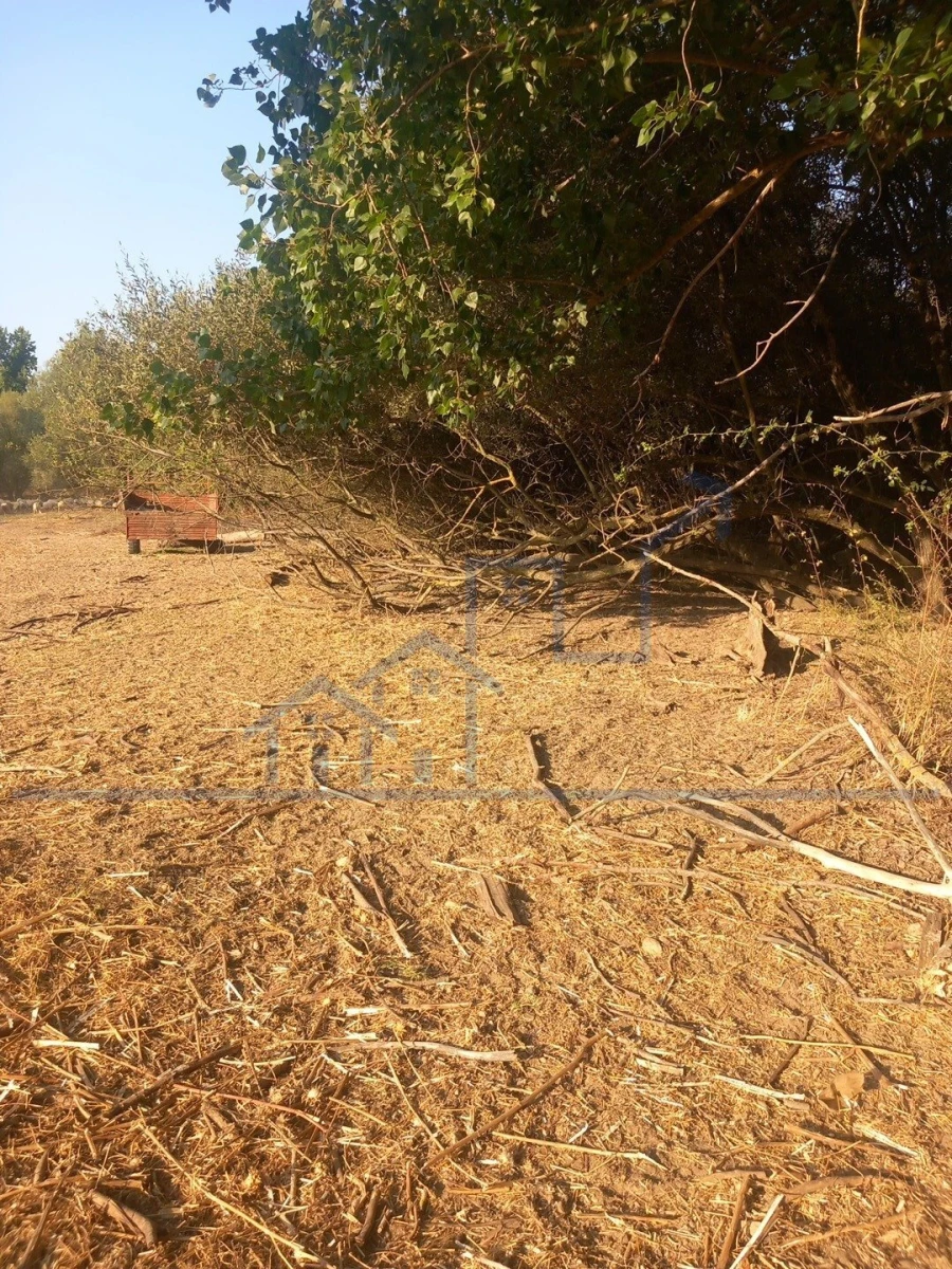 Quinta T0 para Venda em Cabeça Boa Foto 13