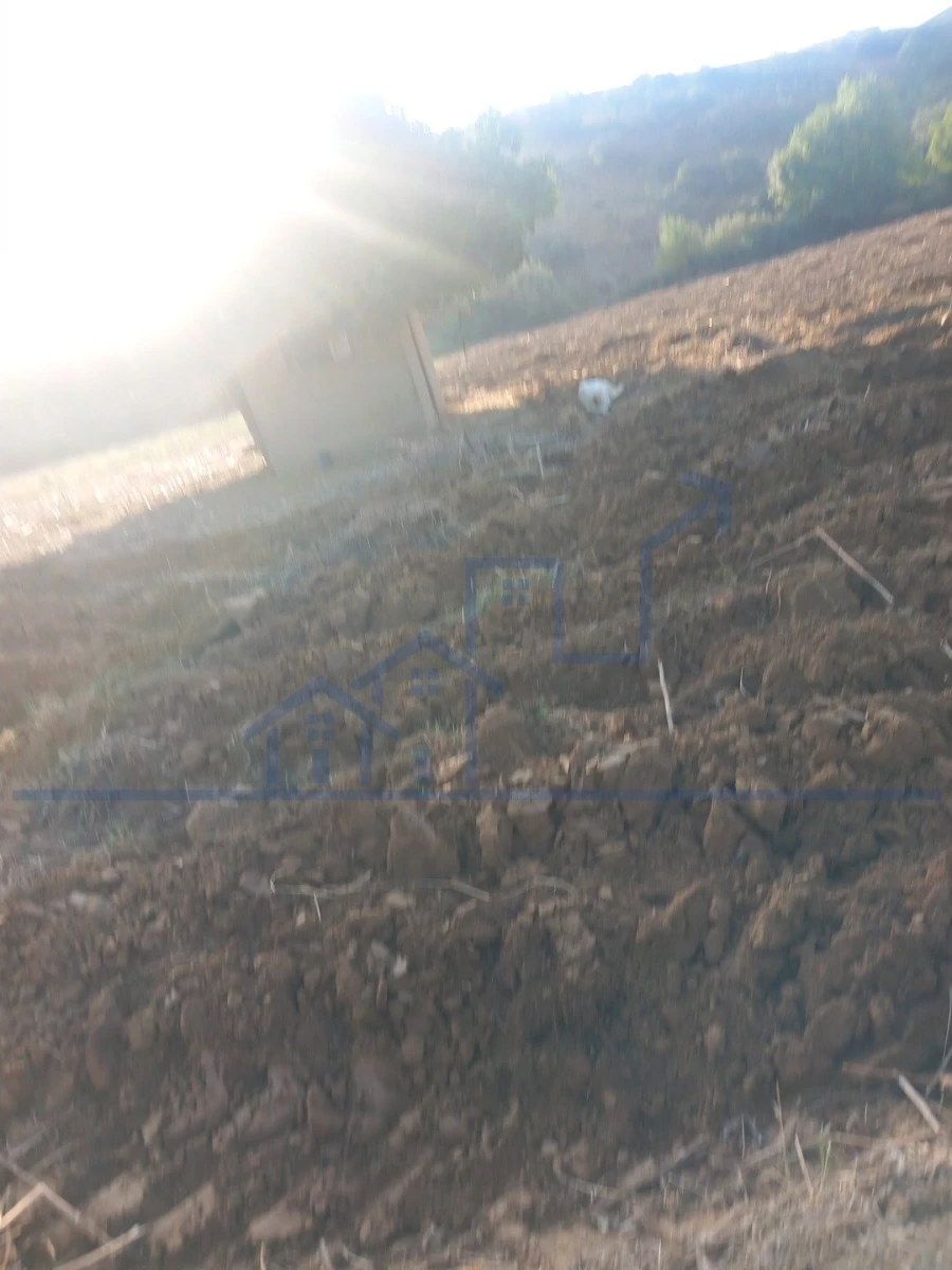 Quinta T0 para Venda em Cabeça Boa Foto 11