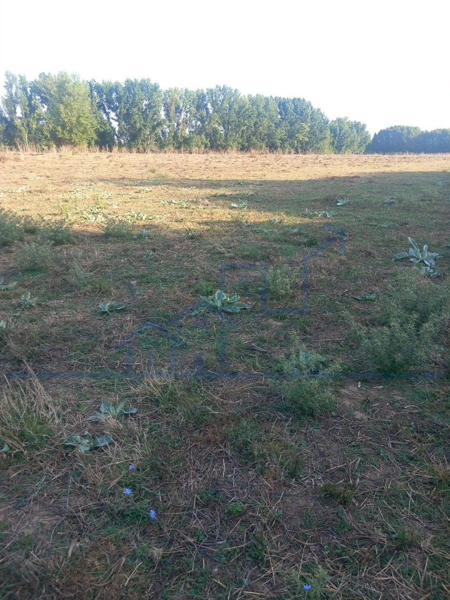 Quinta T0 para Venda em Cabeça Boa Foto 16