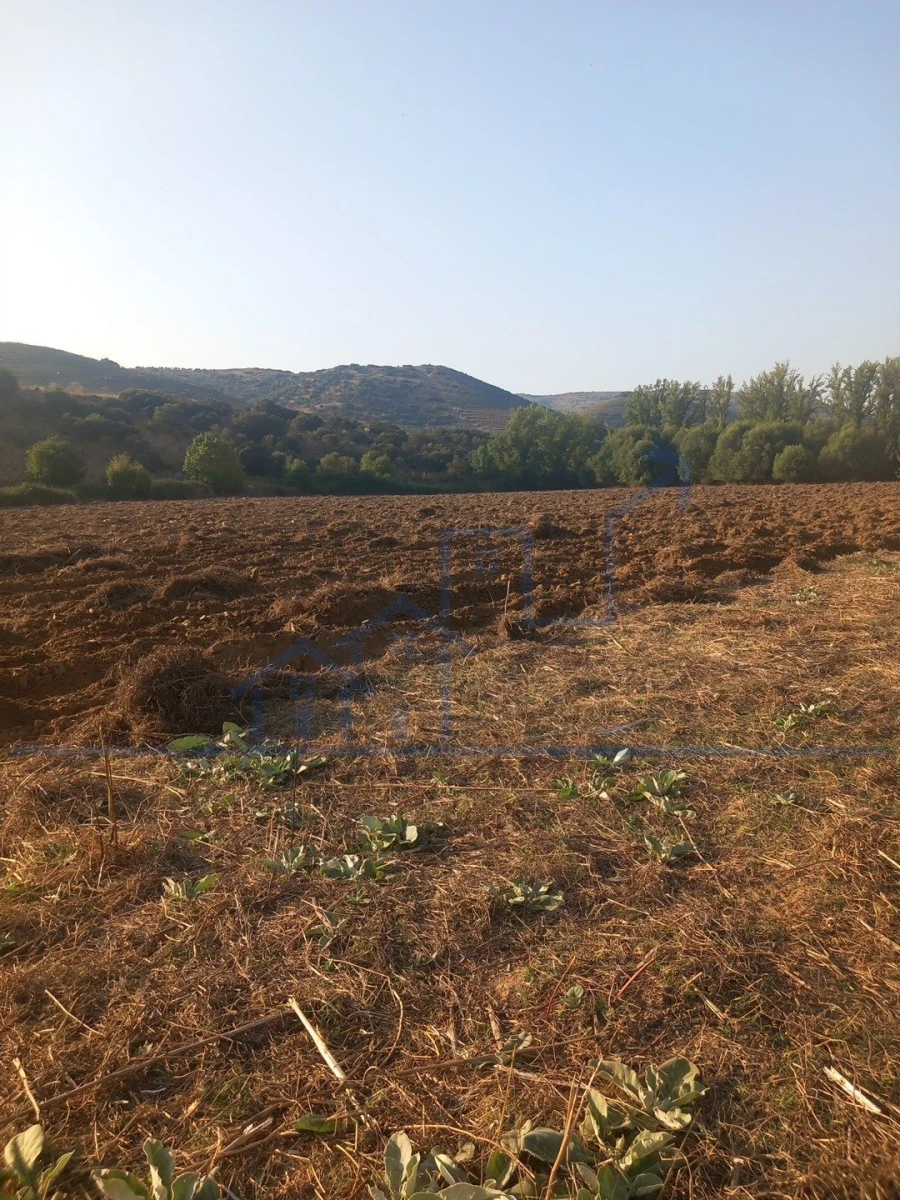 Quinta T0 para Venda em Cabeça Boa Foto 14