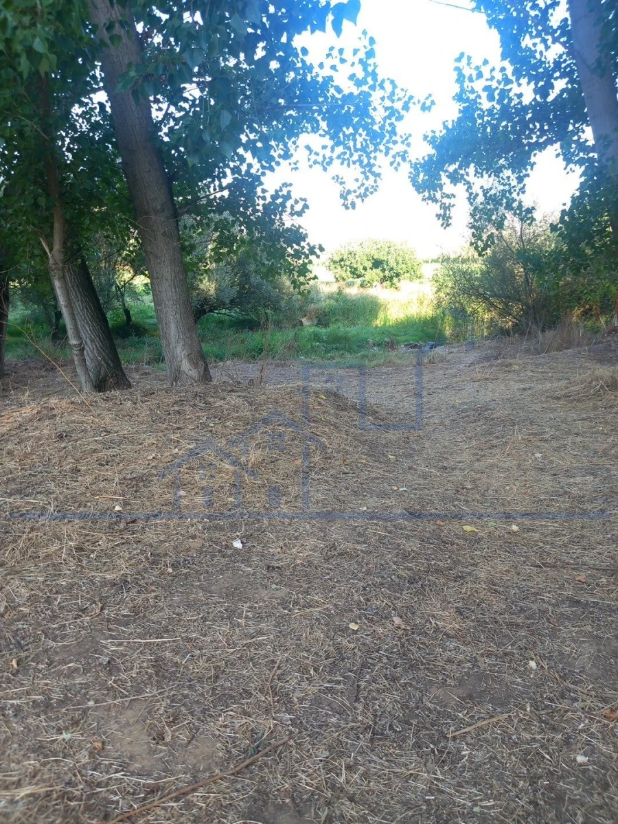 Quinta T0 para Venda em Cabeça Boa Foto 9