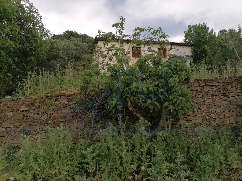 Quinta T0 para Venda em Cabeça Boa Foto 1