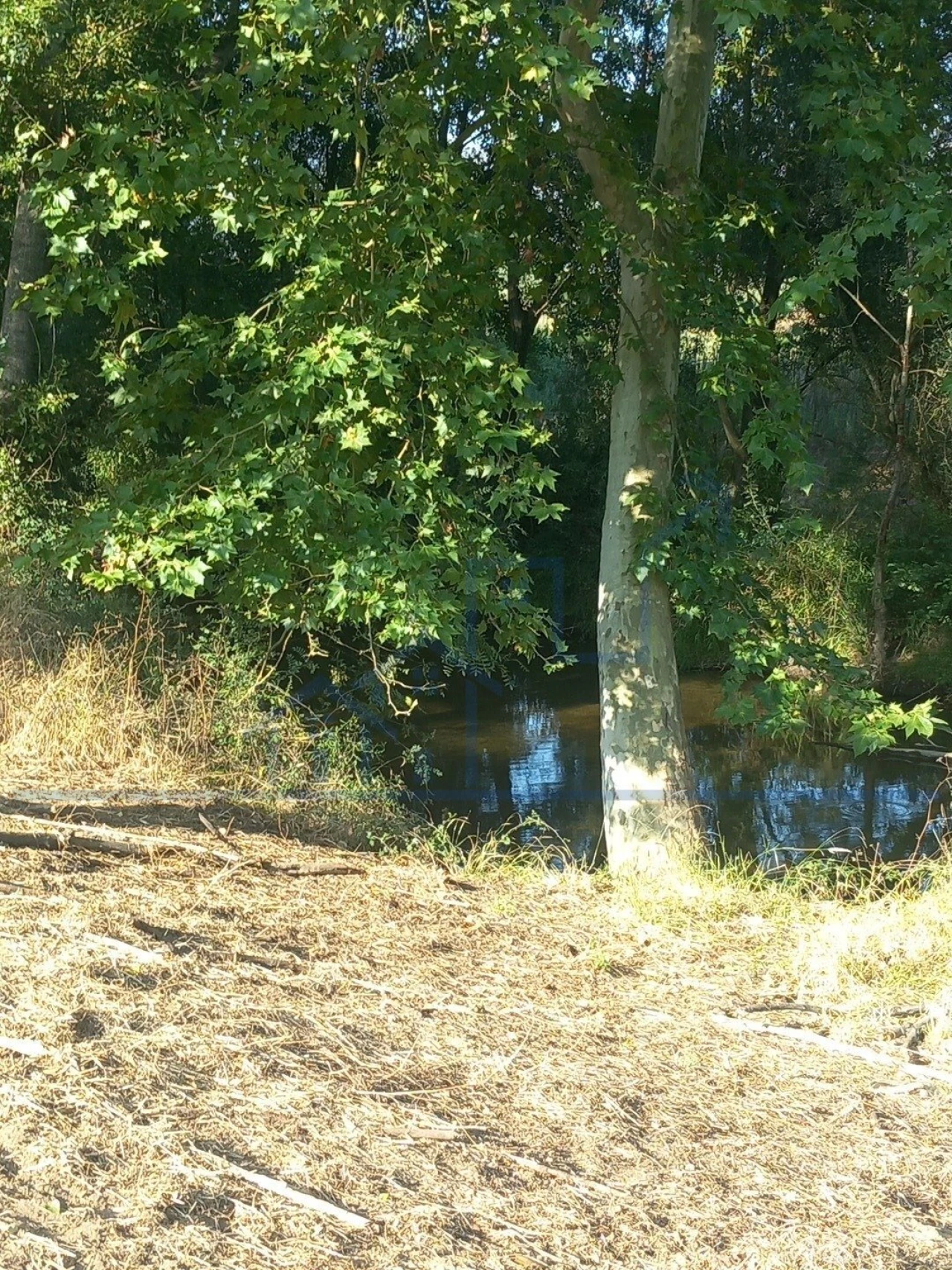 Quinta T0 para Venda em Cabeça Boa Foto 3