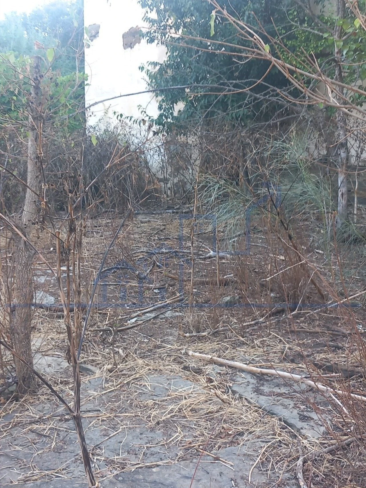 Quinta T0 para Venda em Cabeça Boa Foto 5