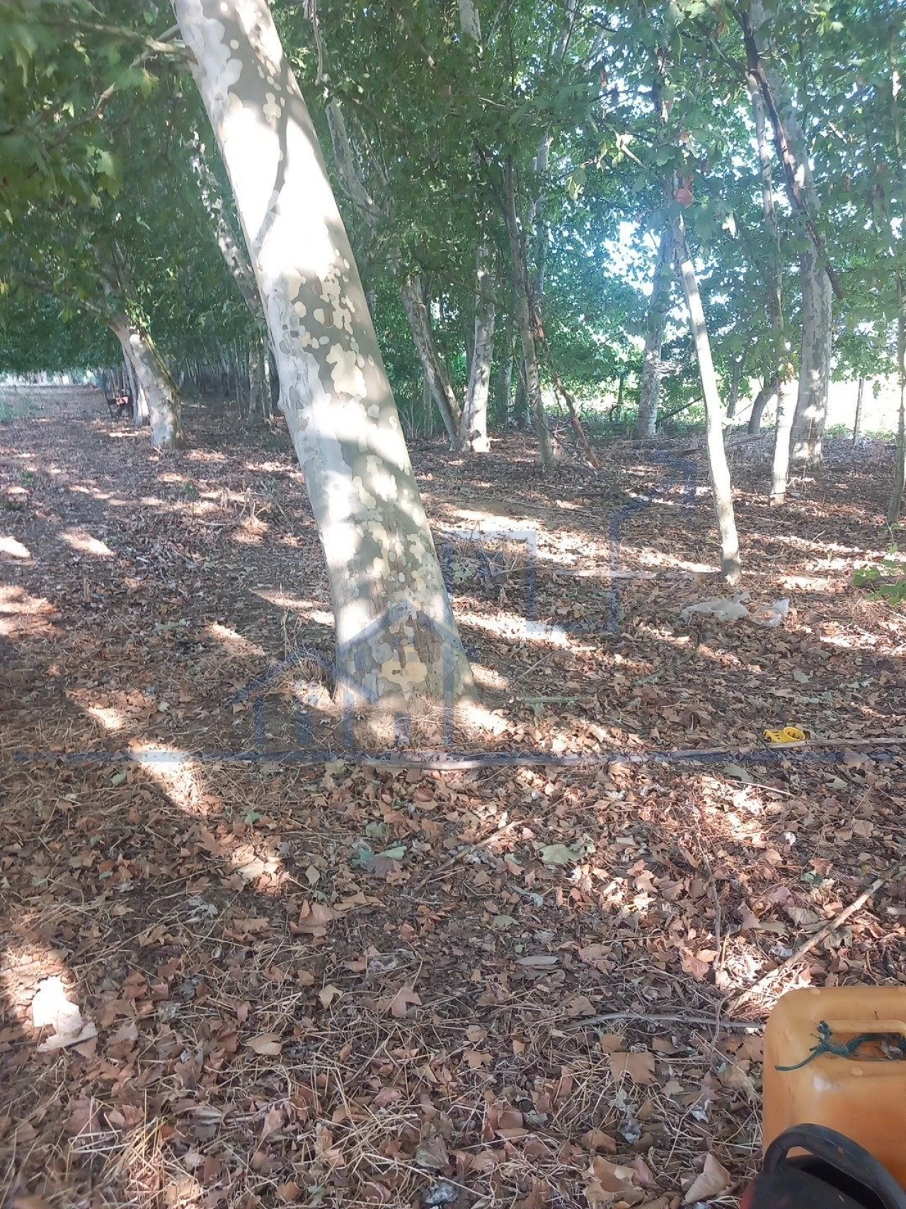 Quinta T0 para Venda em Cabeça Boa Foto 6