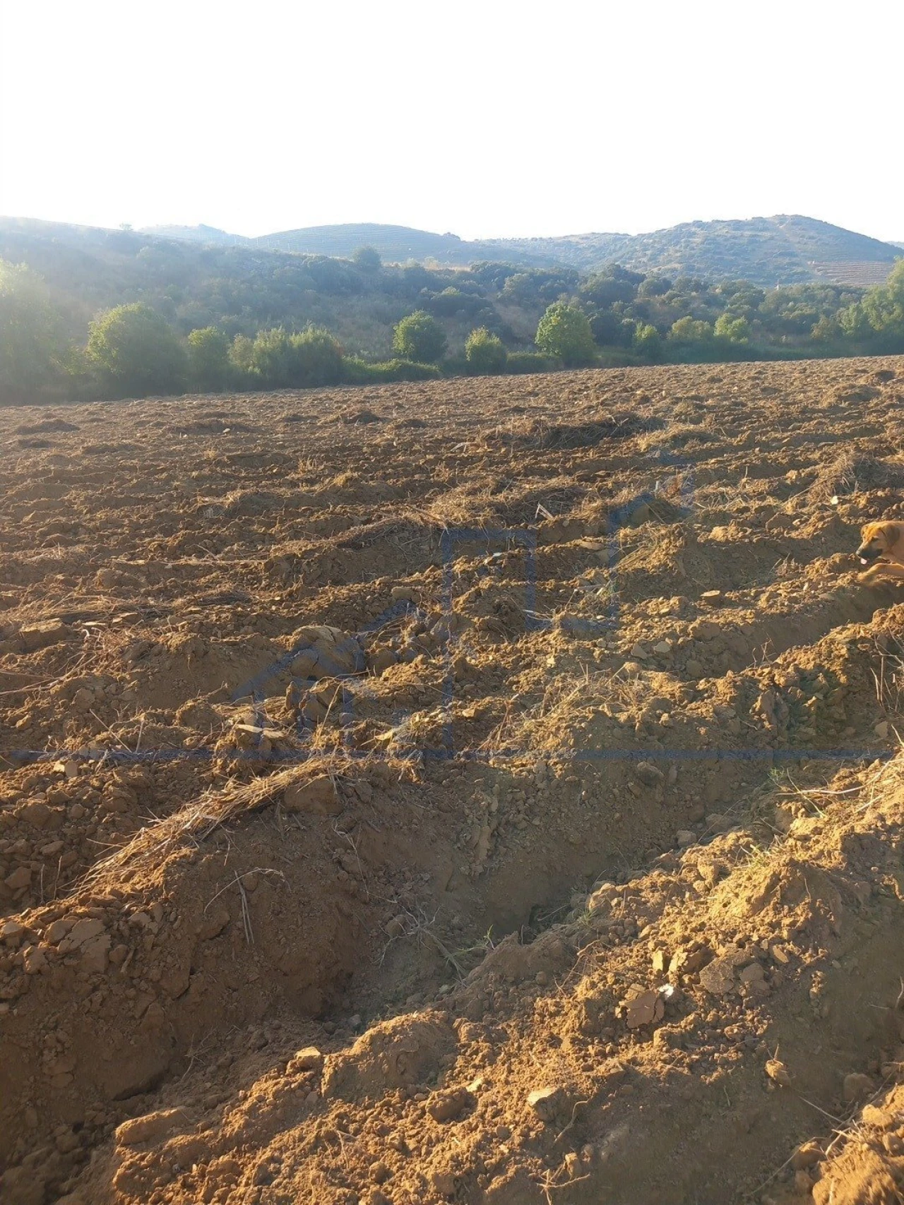 Quinta T0 para Venda em Cabeça Boa Foto 10