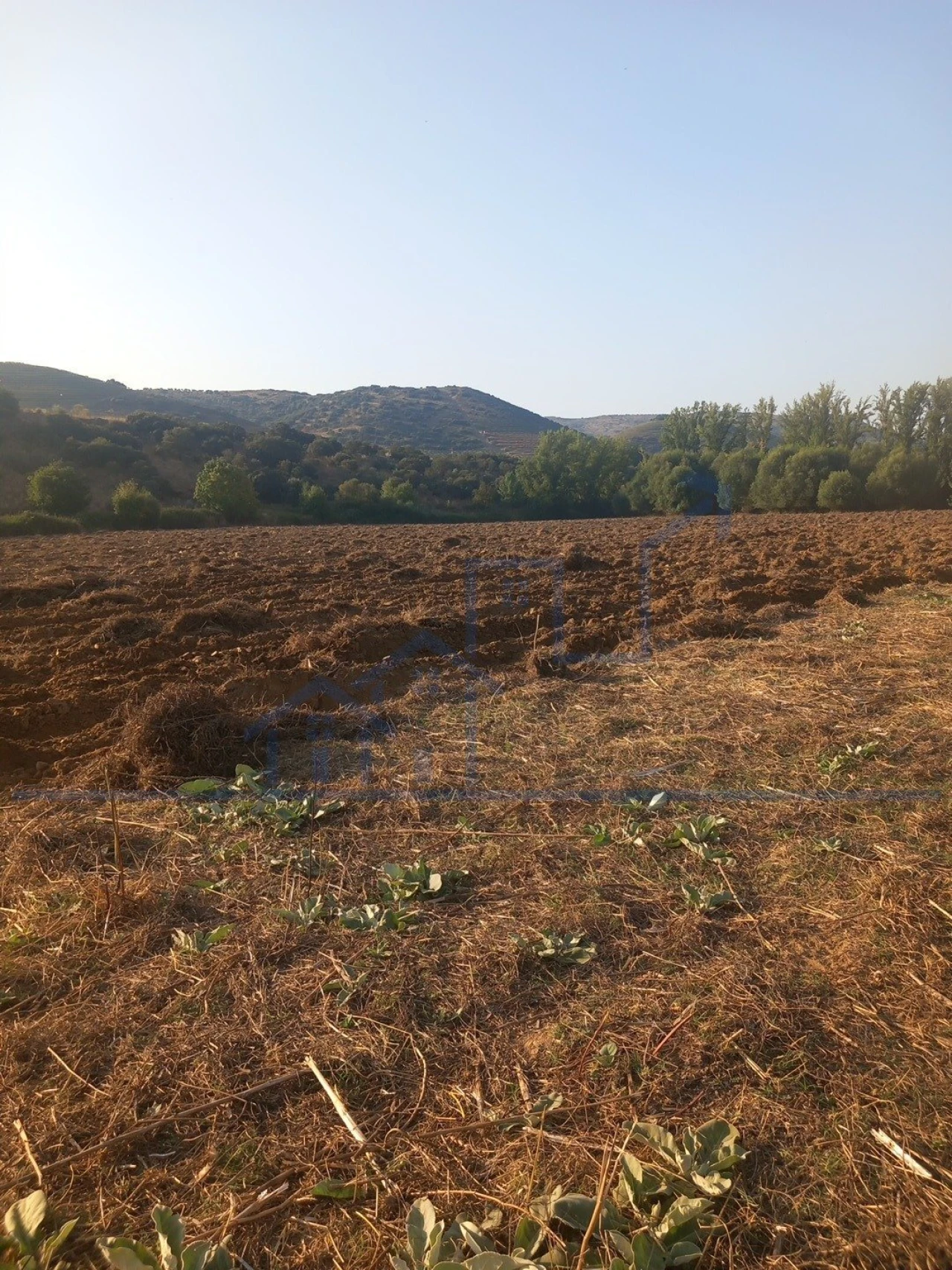 Quinta T0 para Venda em Cabeça Boa Foto 14