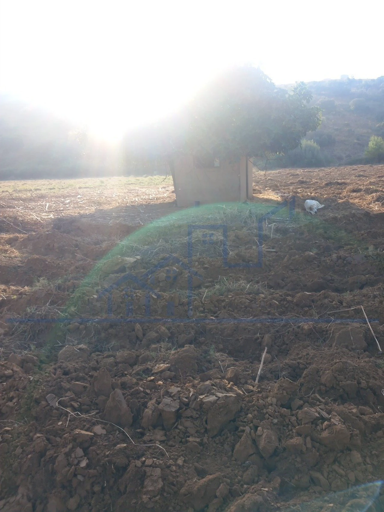 Quinta T0 para Venda em Cabeça Boa Foto 8