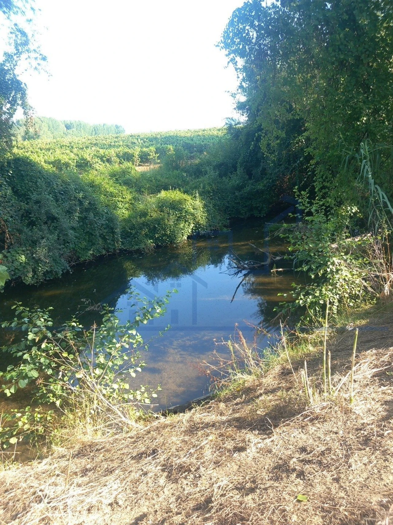 Quinta T0 para Venda em Cabeça Boa Foto 4